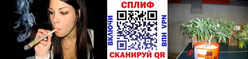 MEGA онион  купить наркотик  Отрадная  Бошки марихуана MAZAR 